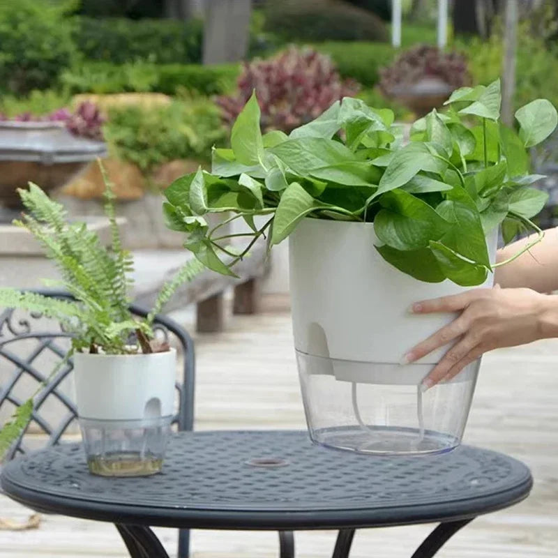 Hydro Bloom Pot: Smart Self-Watering Wonder